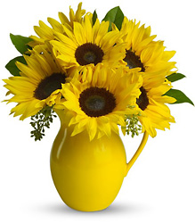 Teleflora's Sunny Day Pitcher of Sunflowers from Gilmore's Flower Shop in East Providence, RI